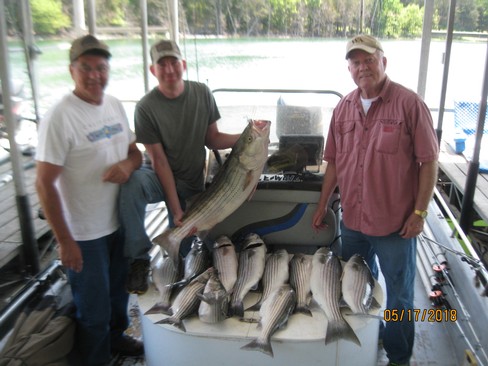Nice Striped Bass